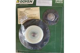 Goyen CA45T020 (Repair kit)