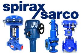 Spirax Sarco repair kit for 623-P2Y