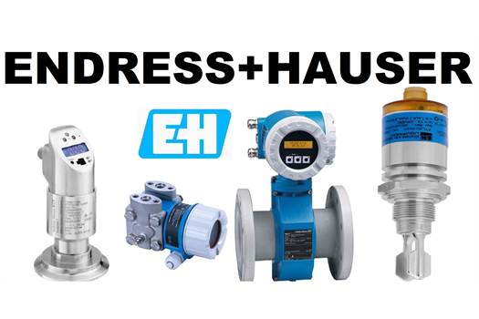 Endress Hauser FMG60-31E1N1B1A Power Supply