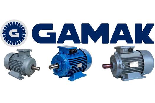 Gamak GM2E 200 L6b V6  Motor