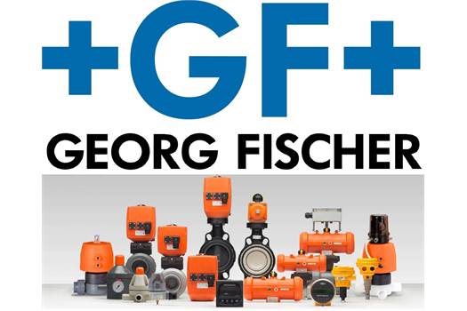 Georg Fischer pH/ORP GF p/n: 3-8750-2 sensor