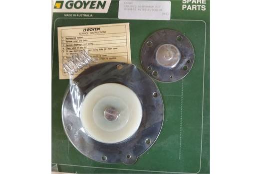 Goyen CA45T020 (Repair kit) 