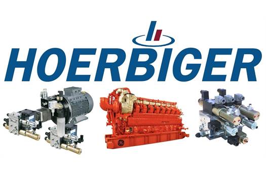 Hoerbiger MSV 221 BE06 valve