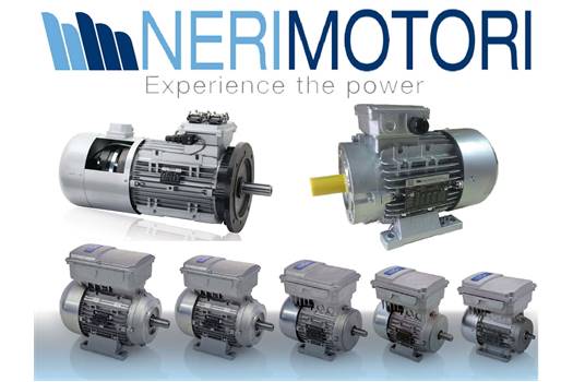 Neri Motori 100 A, 230/400, 50 hz, 3 Hp, 2,2 kw, 1410 rpm Motor