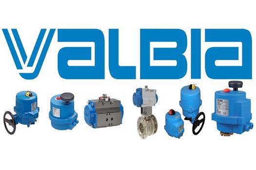 Valbia VP RI2441 seal kit for model p