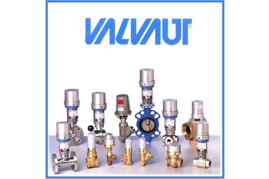 Valvaut RK-B-6/4-BUNA  repair kit for Valv